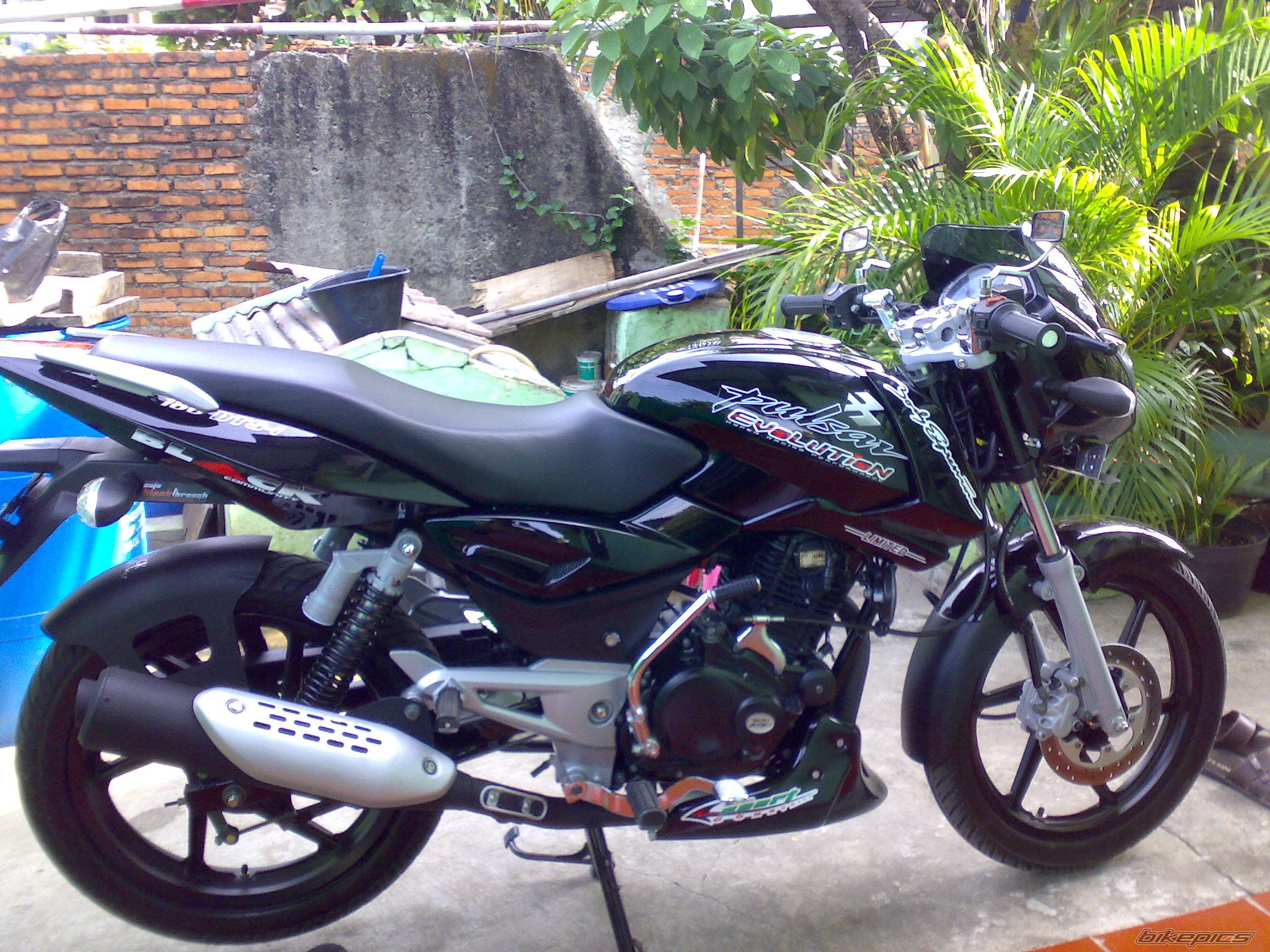 2008 BAJAJ PULSAR 180 | Picture 1531741 motorcycle photo