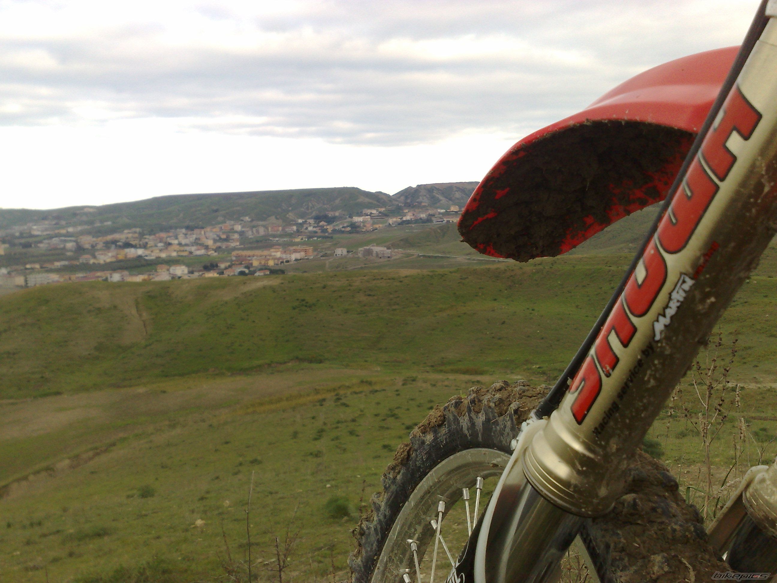 2008 HONDA CRF 250 | Picture 1532064 motorcycle photo