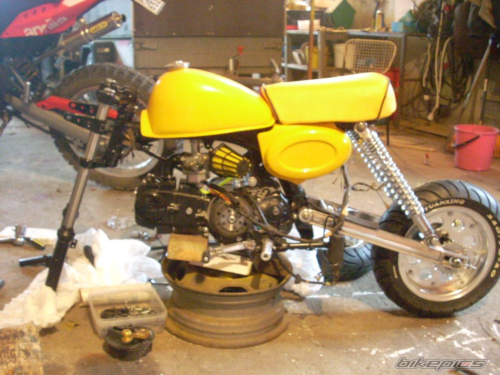 2009 HONDA Z 50 | Picture 1532229 motorcycle photo