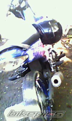    | Picture 1532573 motorcycle photo