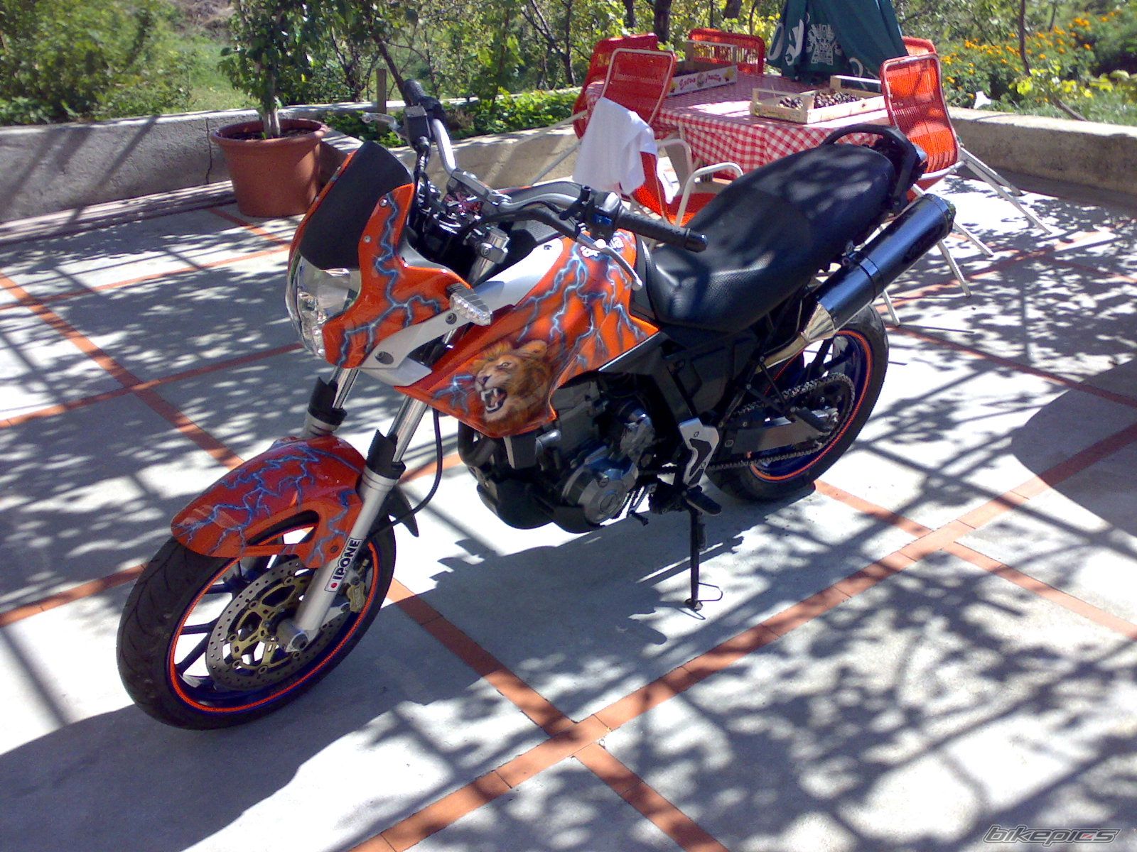 2006 APRILIA PEGASO 650 | Picture 1533019 motorcycle photo