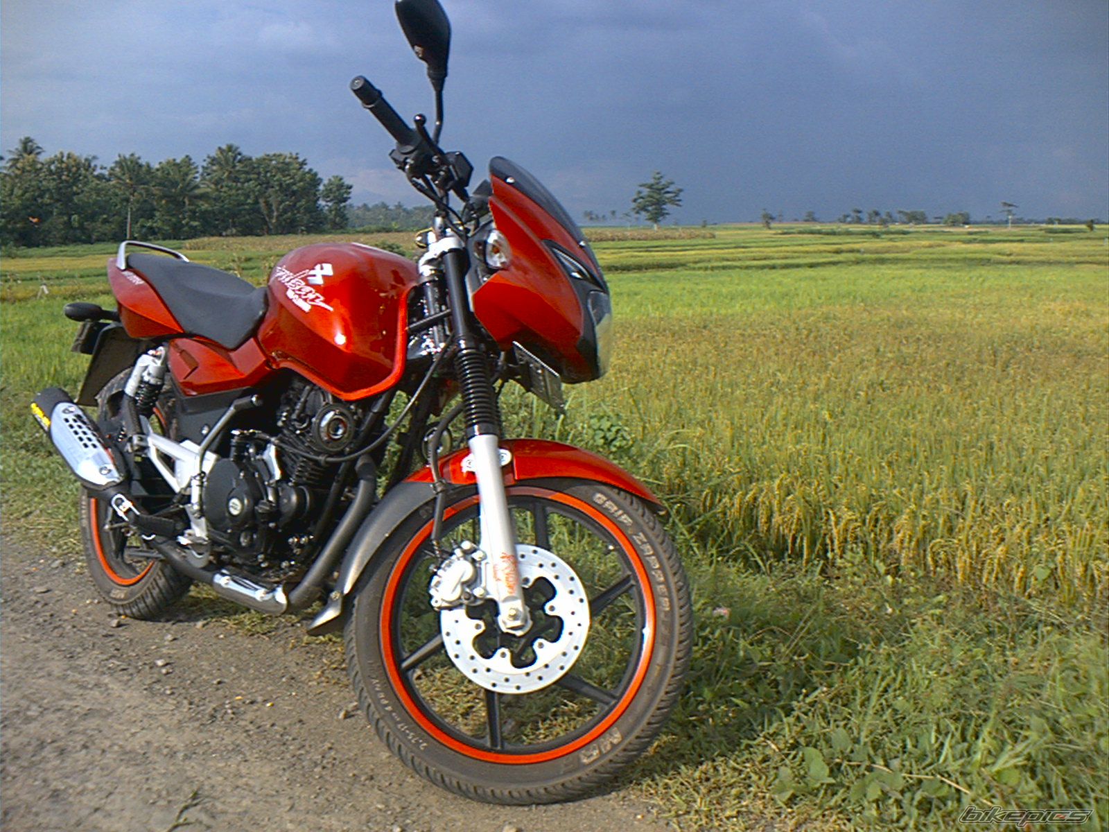 2008 BAJAJ PULSAR 180 | Picture 1533054 motorcycle photo