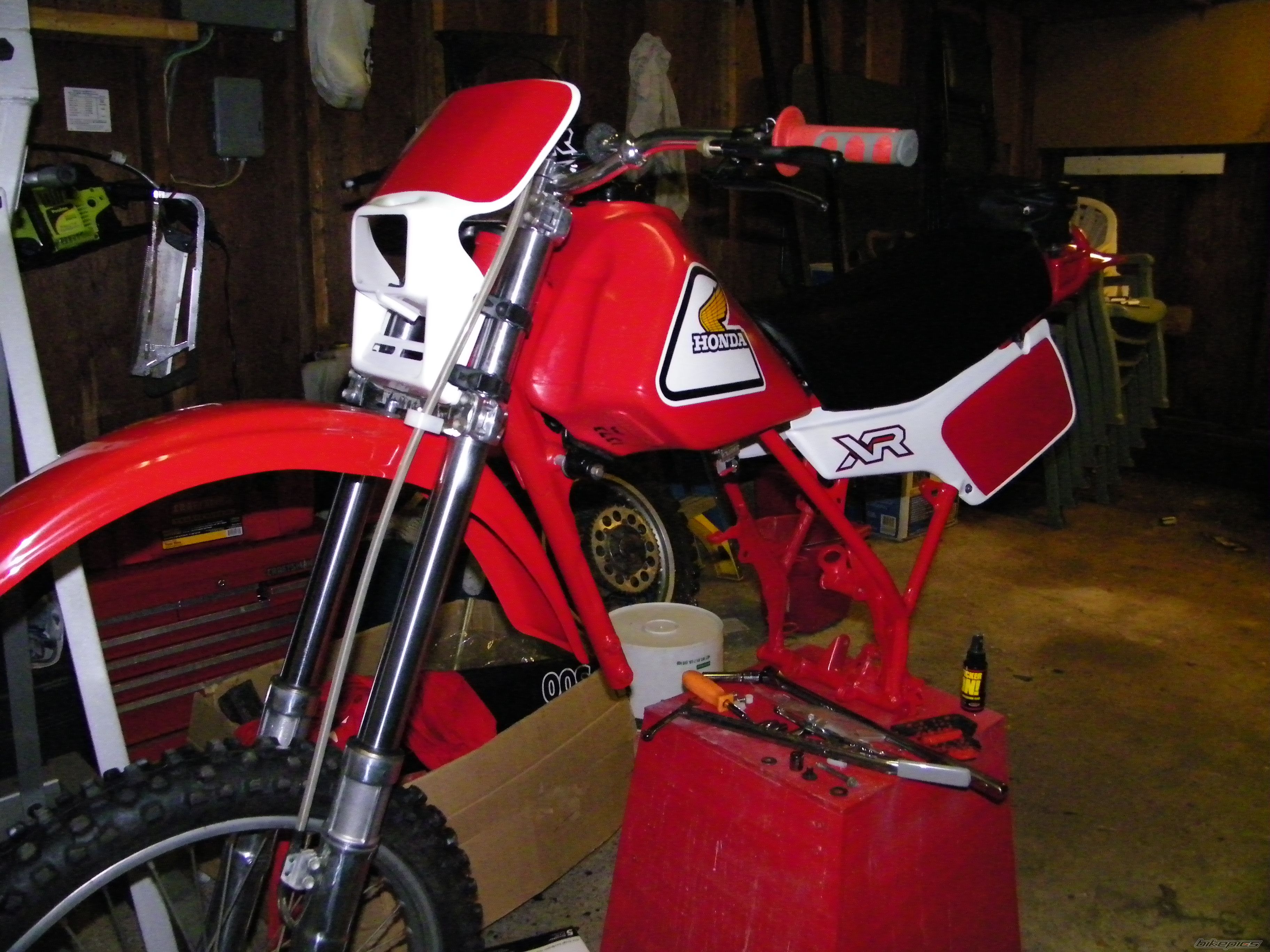 1981 HONDA XR 500 | Picture 1533157 motorcycle photo