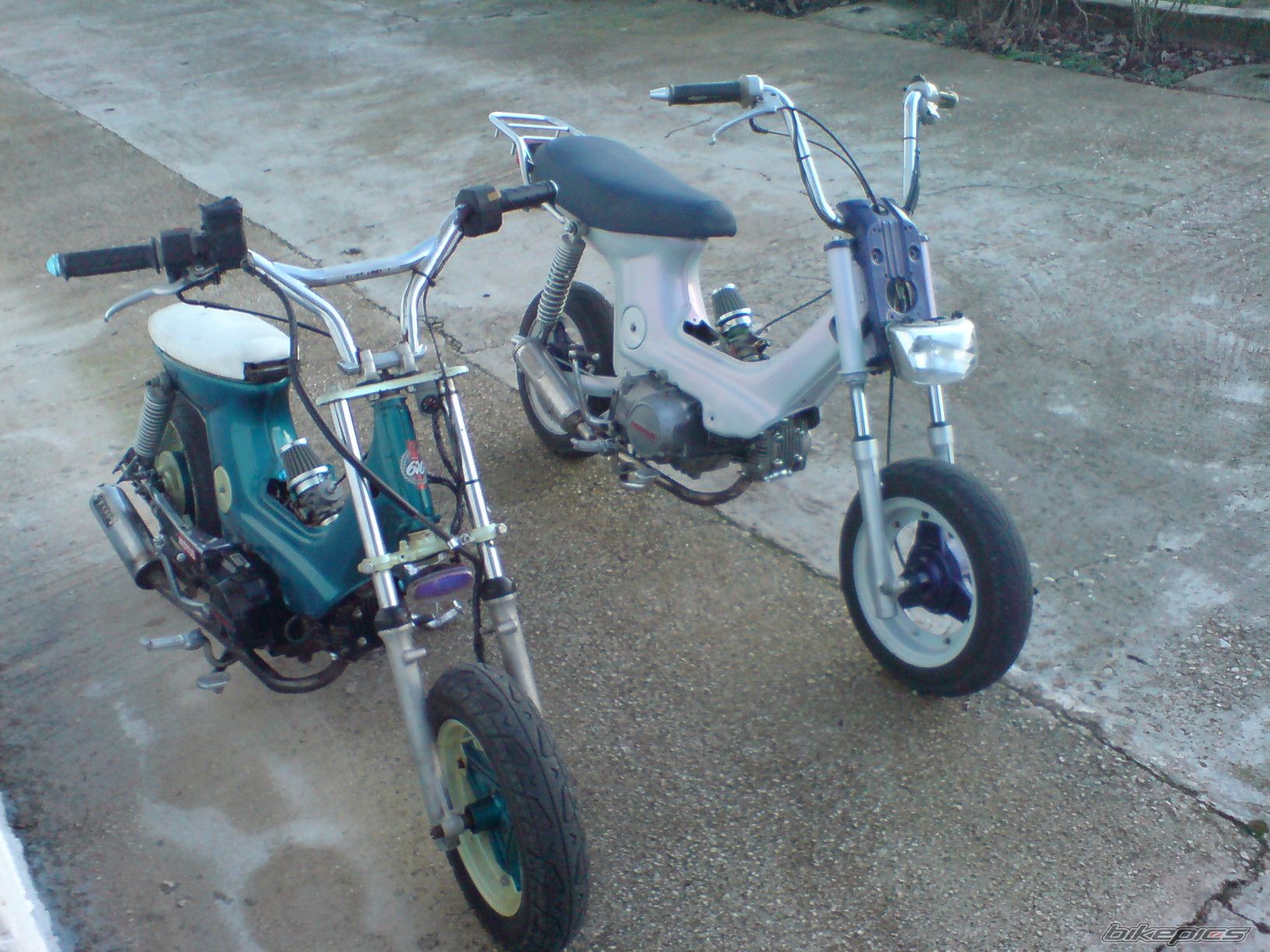 2009 HONDA CHALY | Picture 1533686 motorcycle photo