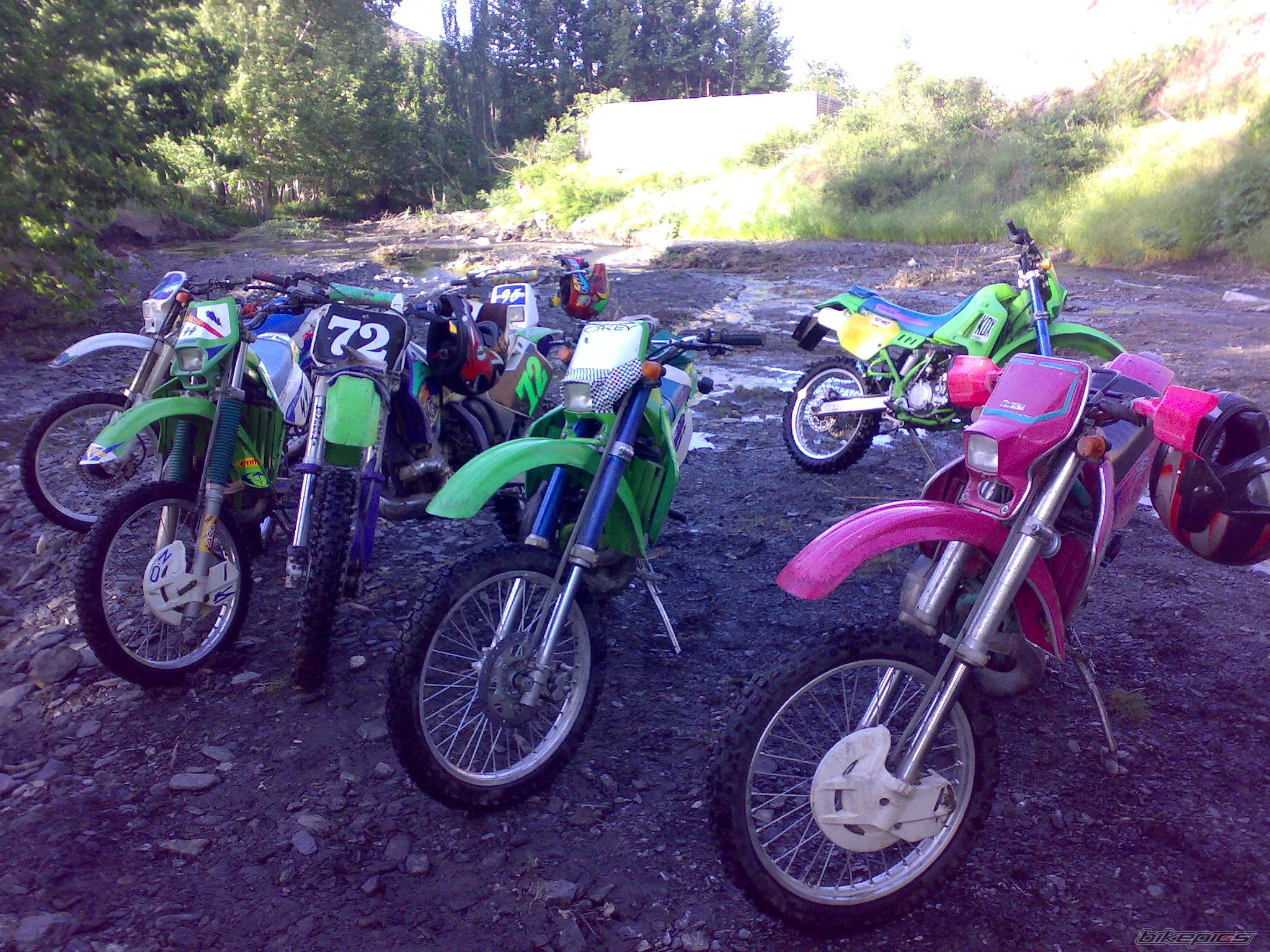 1994 KAWASAKI KDX 250 | Picture 1534084 motorcycle photo