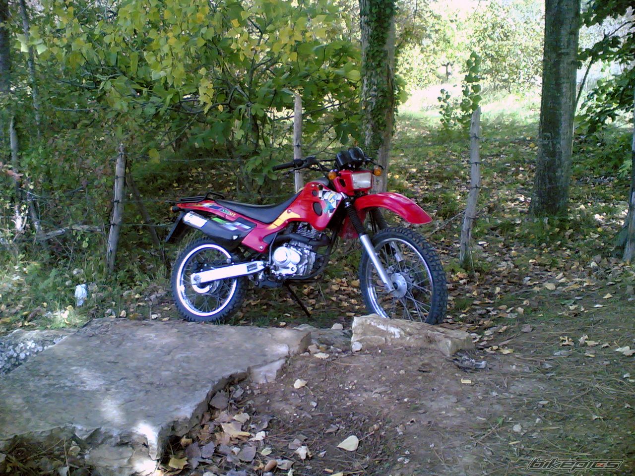 2006 MONDIAL RZ STARFIGHTER | Picture 1534159 motorcycle photo