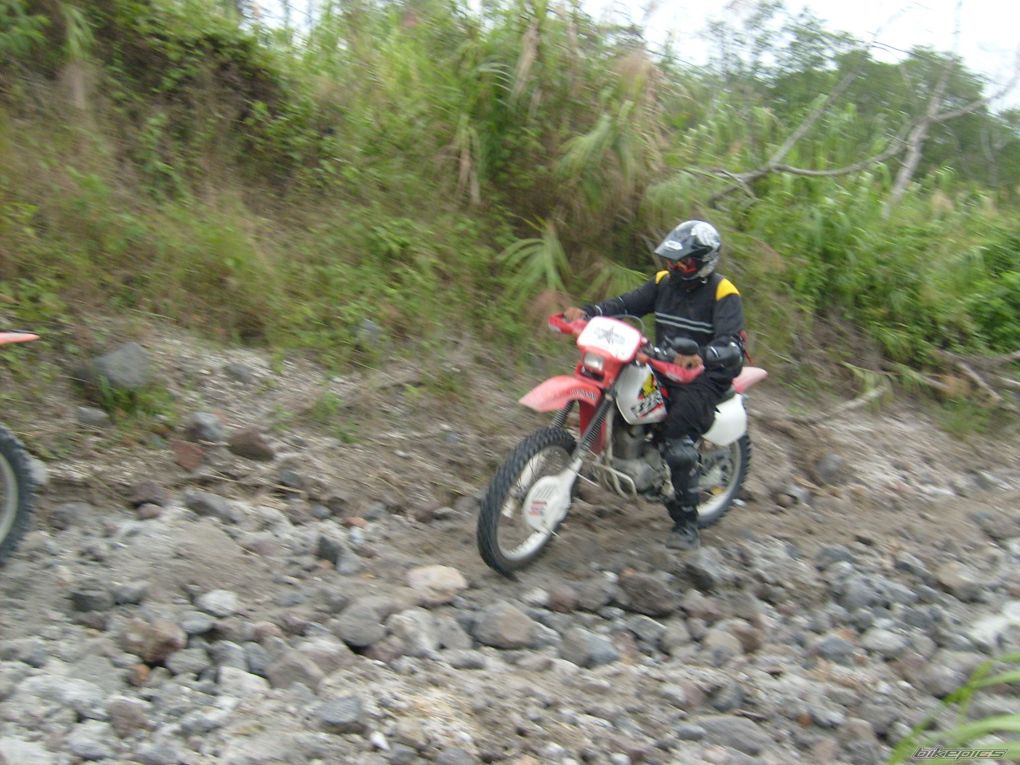 2007 HONDA XR 200 | Picture 1534236 motorcycle photo