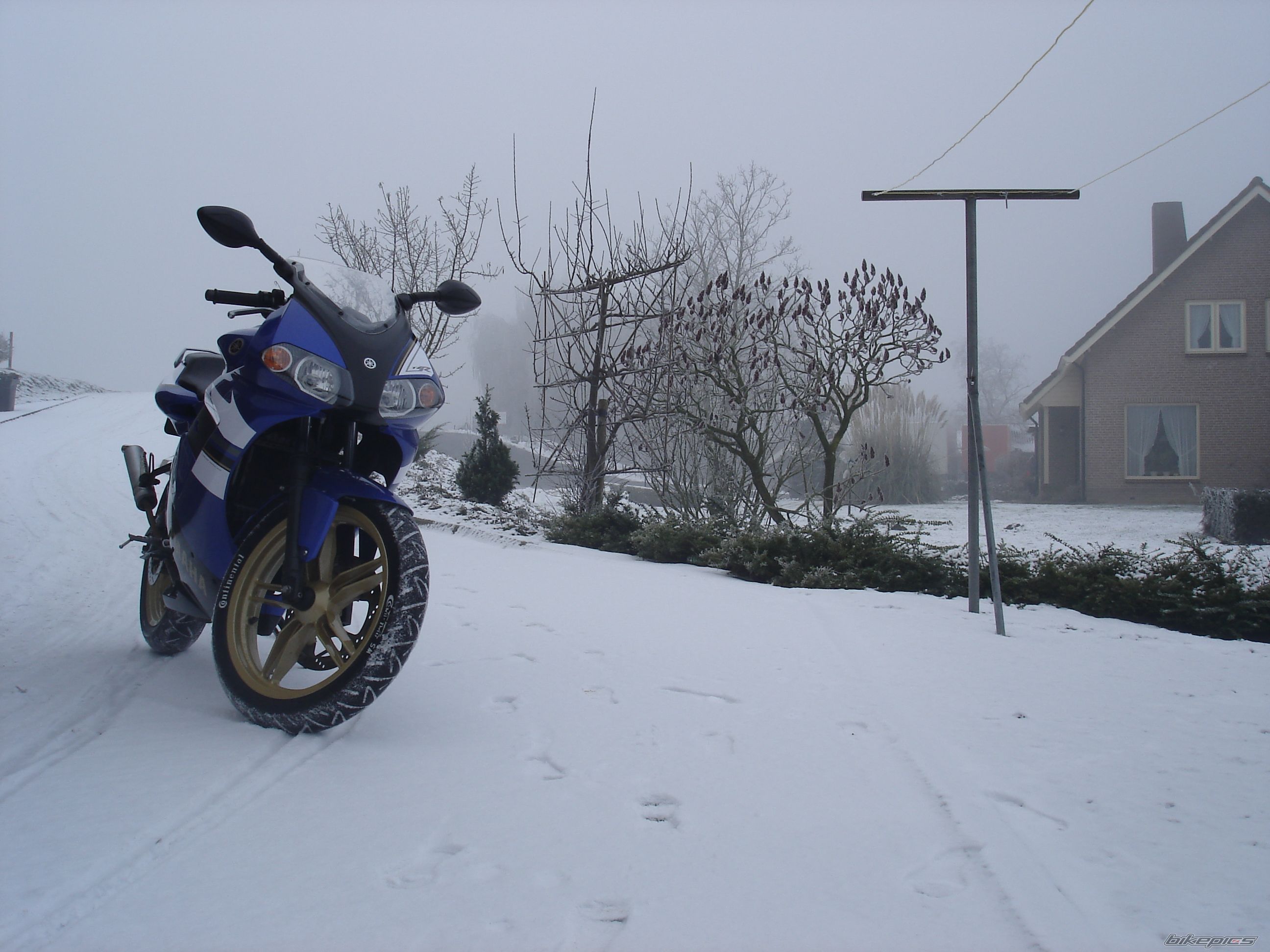 2008 YAMAHA TZR 50 | Picture 1534885 motorcycle photo