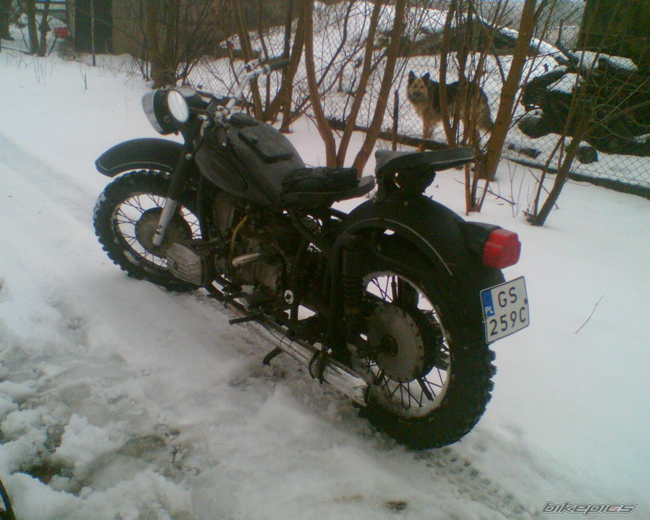 1961 DNEPR K750 | Picture 1535815 motorcycle photo