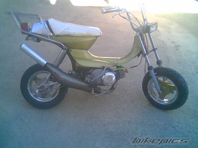 2009 SUZUKI LANDIE 50 | Picture 1536160 motorcycle photo
