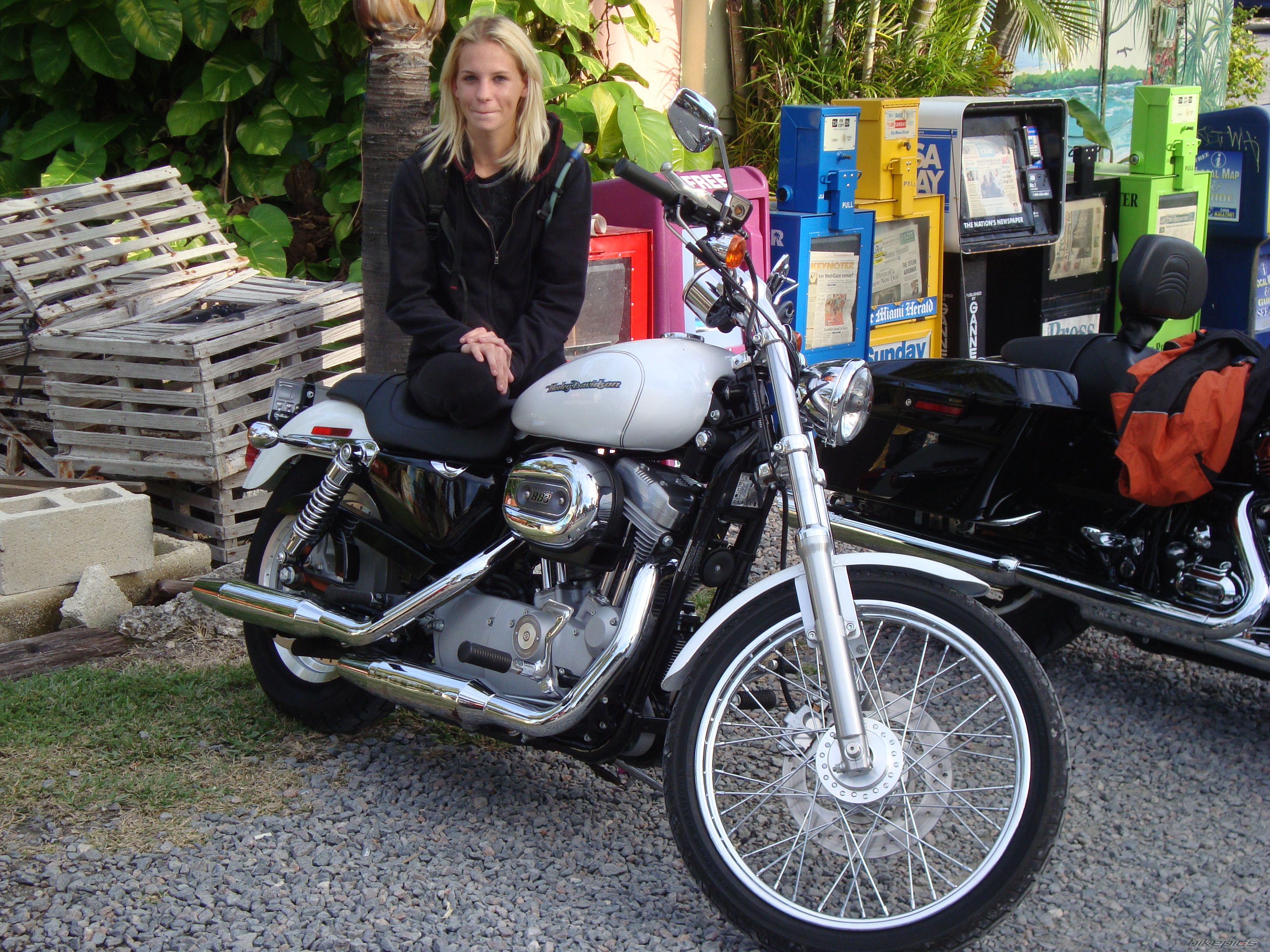 2006 HARLEY DAVIDSON XL 883C | Picture 1537162 motorcycle photo
