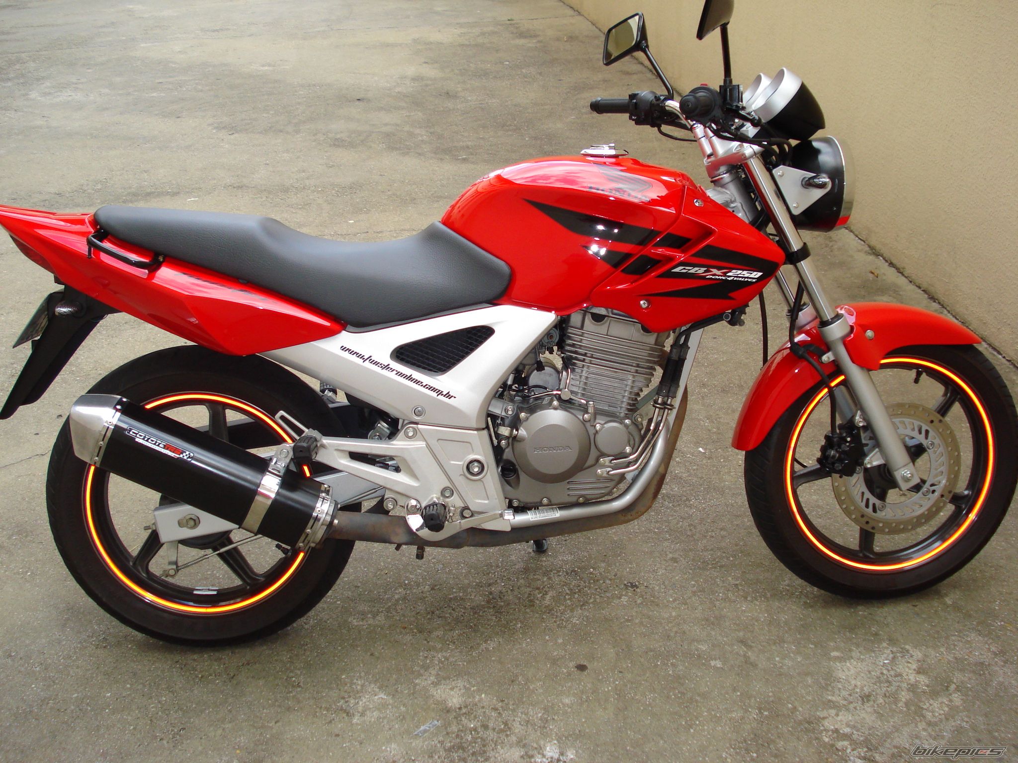 2008 HONDA CBX 250 | Picture 1537209 motorcycle photo