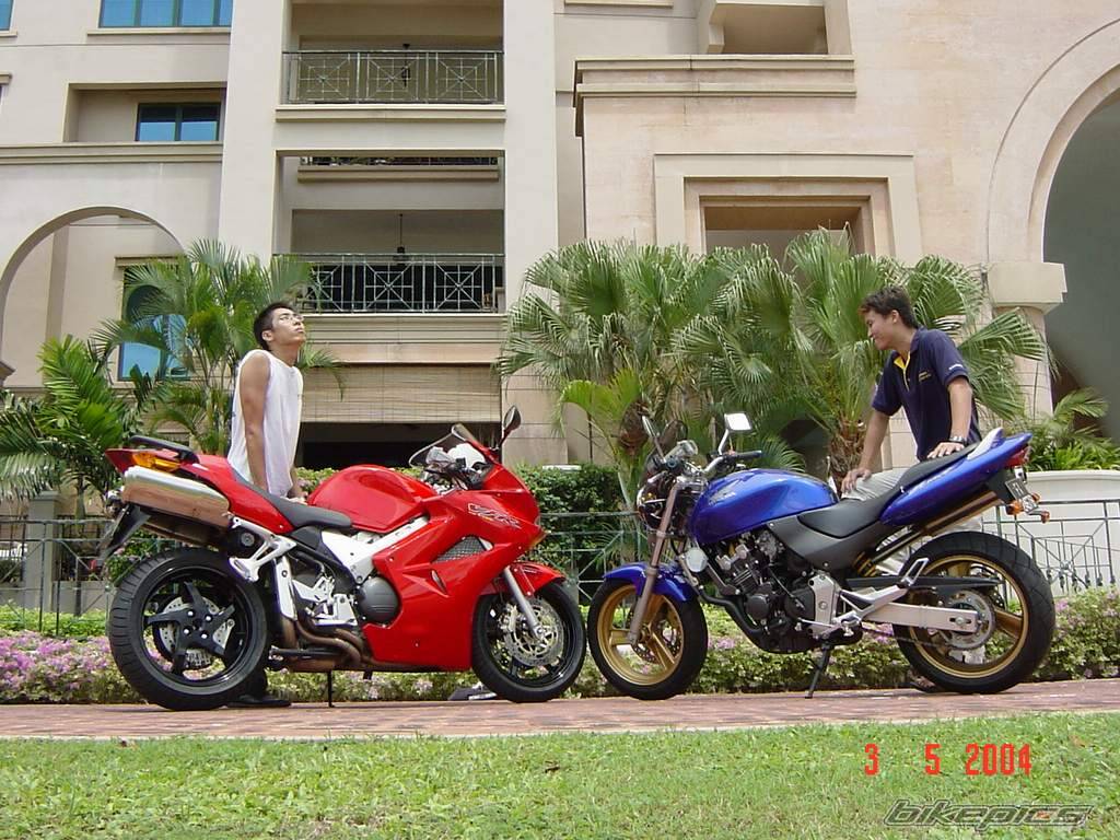 2003 HONDA VFR 800 | Picture 153789 motorcycle photo