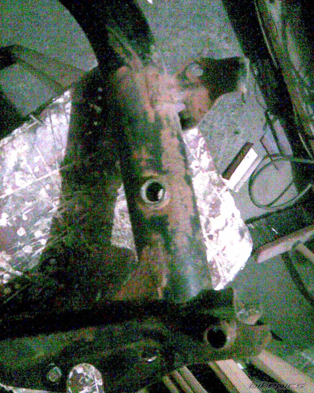 1982 SIMSON S 51 | Picture 1537929 motorcycle photo