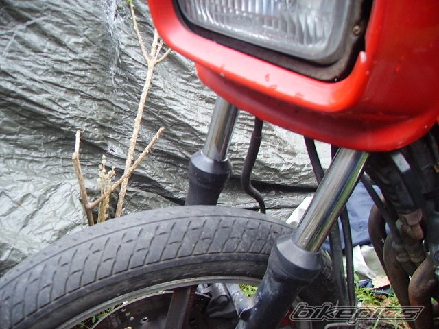 1983 KAWASAKI GPZ 550 | Picture 1538074 motorcycle photo