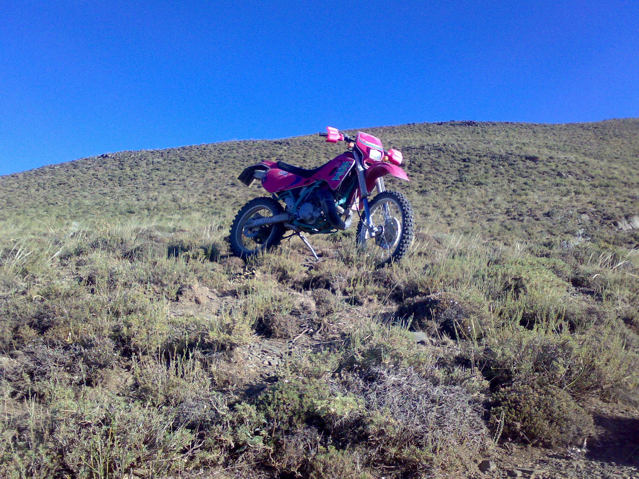 1994 KAWASAKI KDX 250 | Picture 1538687 motorcycle photo