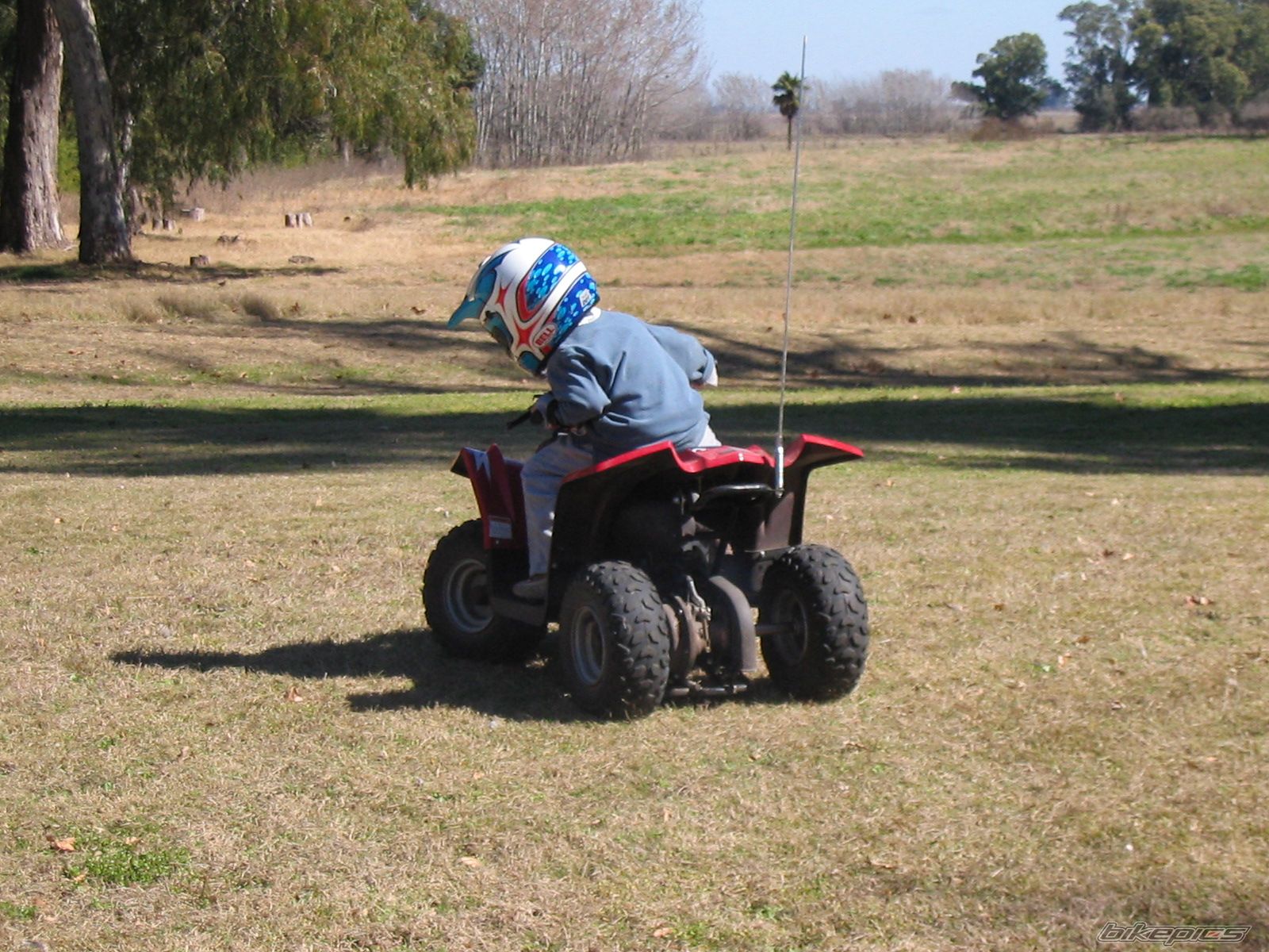 2006 MONDIAL JUKI DRIBBLING  50 | Picture 1538982 motorcycle photo