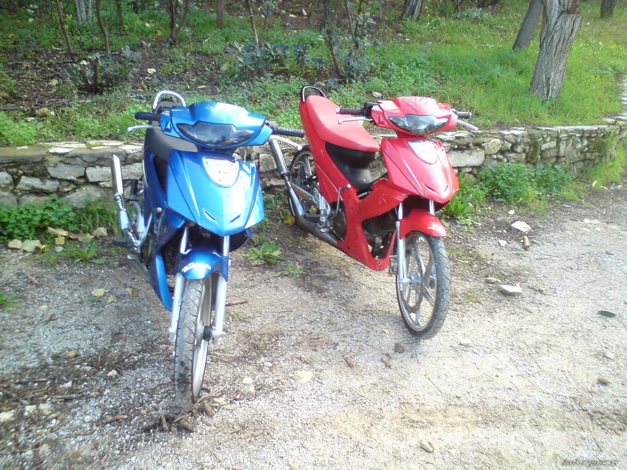 2009 MODENAS DYNAMIC 125 | Picture 1539287 motorcycle photo