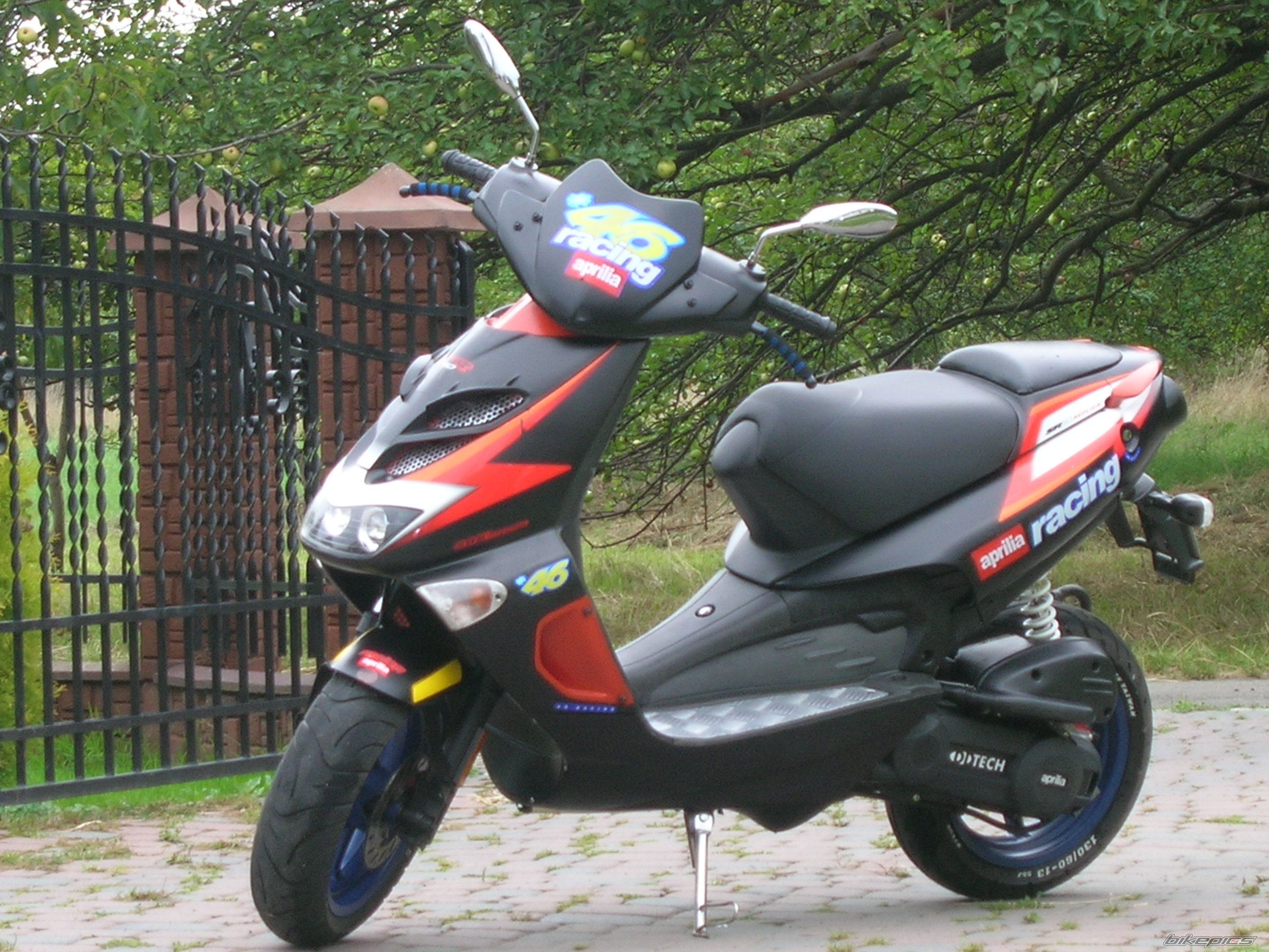 2003 APRILIA SR RACING 50 | Picture 1539366 motorcycle photo
