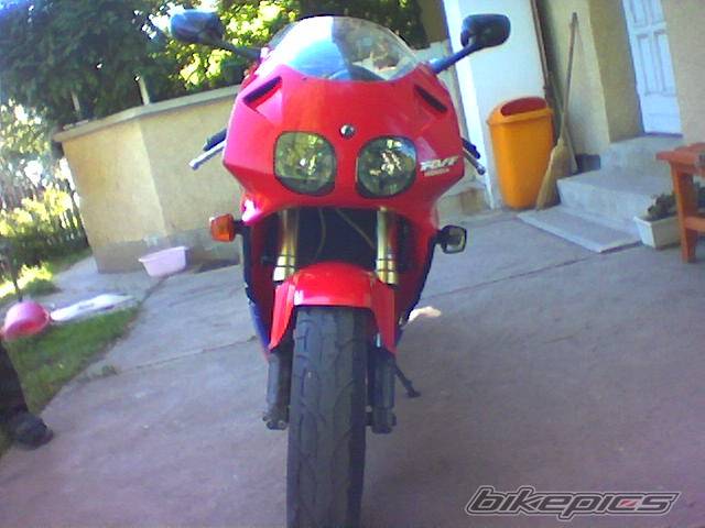1998 HONDA RVF 400 | Picture 153994 motorcycle photo
