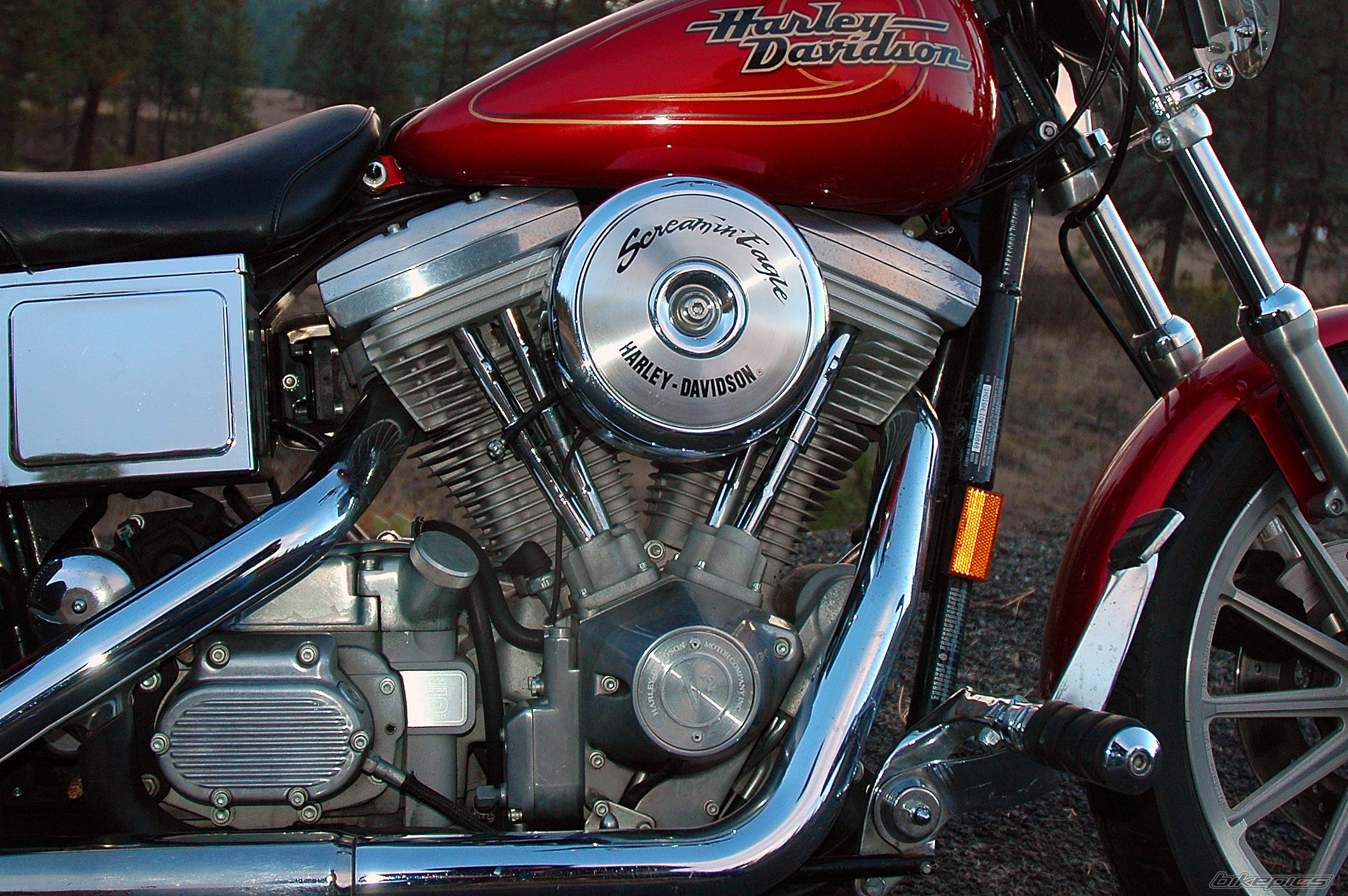 1998 HARLEY DAVIDSON FXD | Picture 1539967 motorcycle photo