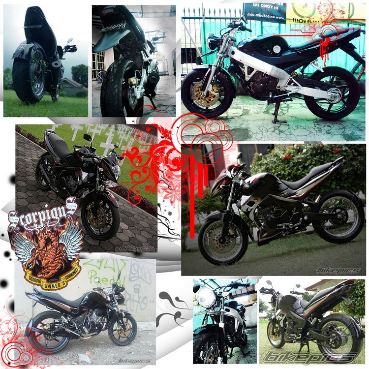 2009 YAMAHA SCORPIO 225 | Picture 1540015 motorcycle photo