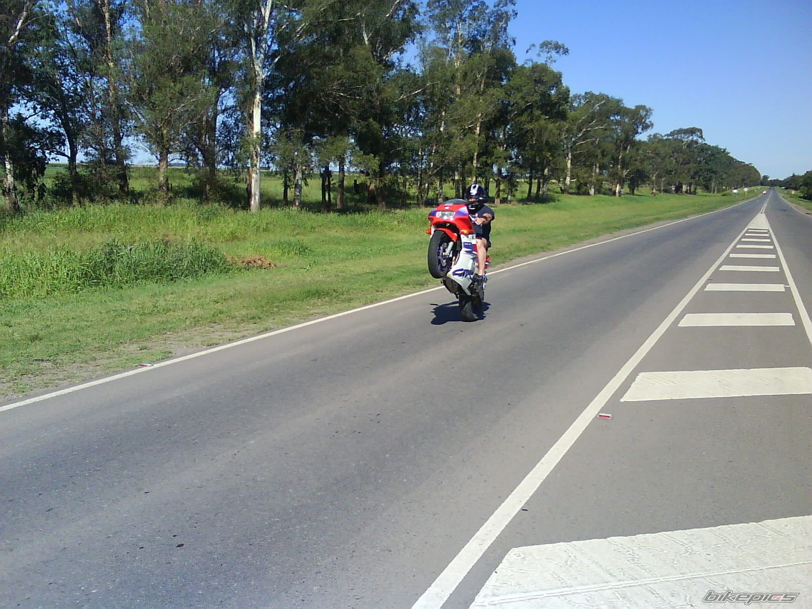 1994 HONDA CBR 600 | Picture 1540248 motorcycle photo