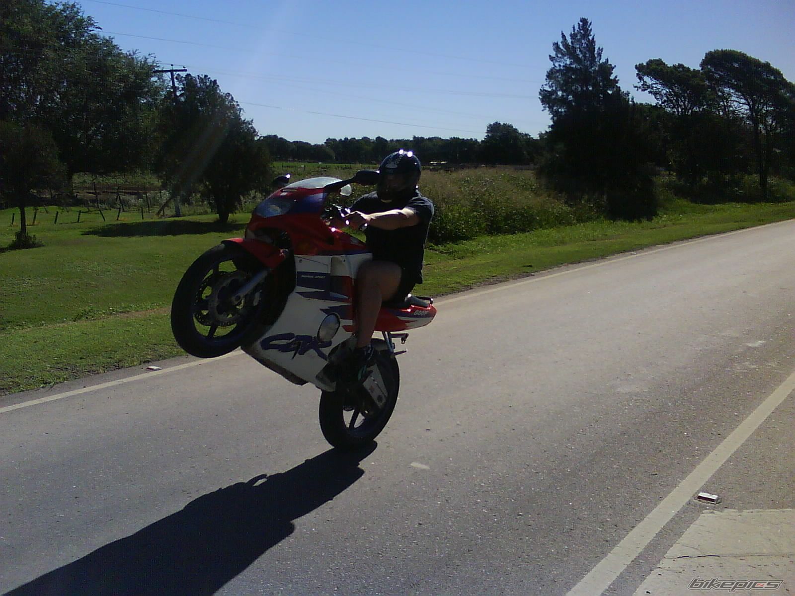 1994 HONDA CBR 600 | Picture 1540250 motorcycle photo