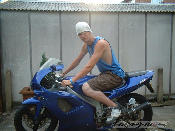 1998 SUZUKI BANDIT 600 | Picture 1540344 motorcycle photo