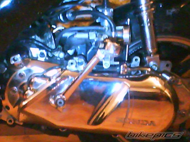 2009 HONDA DIO ZX | Picture 1540383 motorcycle photo