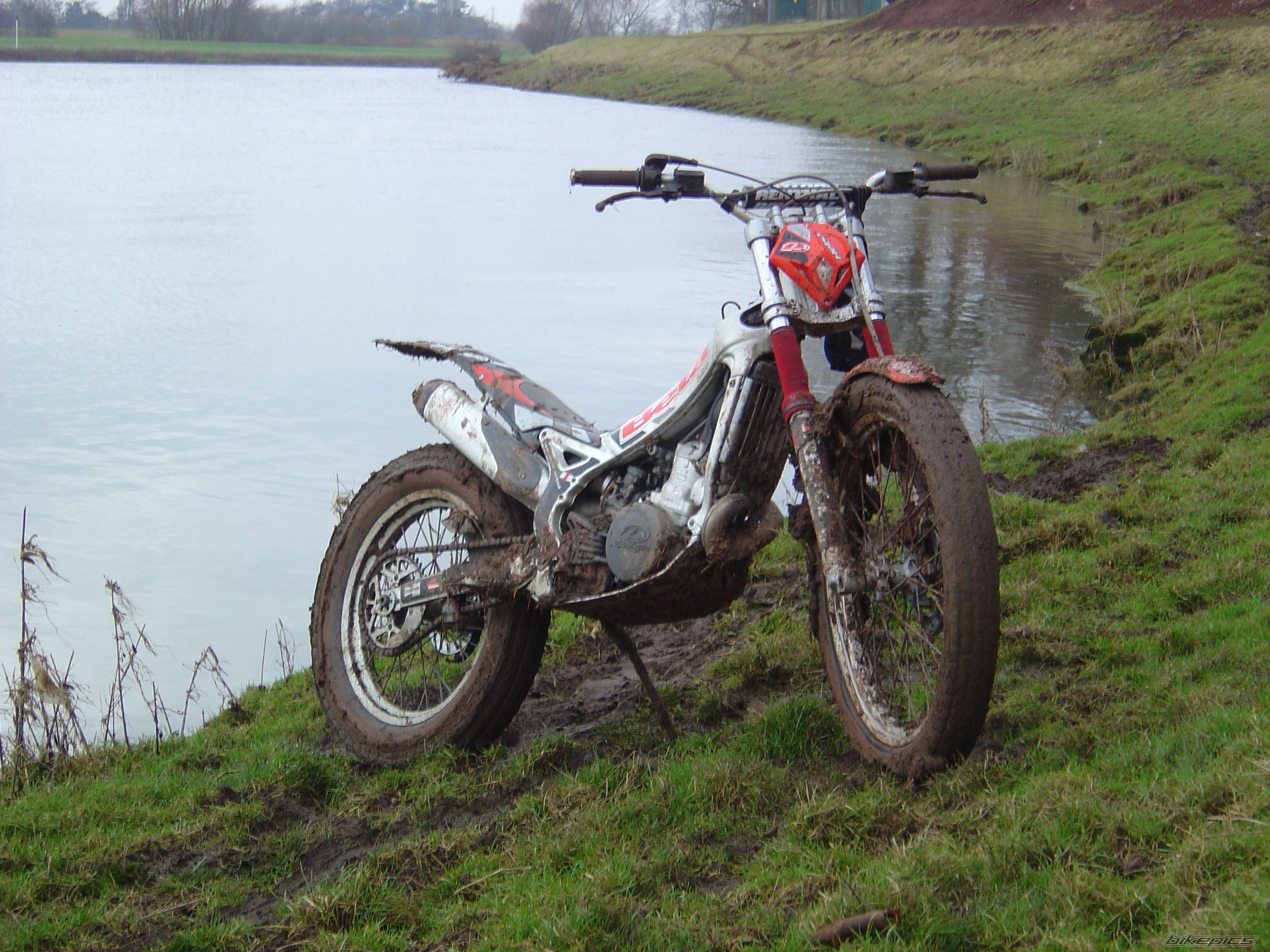 2003 BETA REV3 250 | Picture 1540470 motorcycle photo