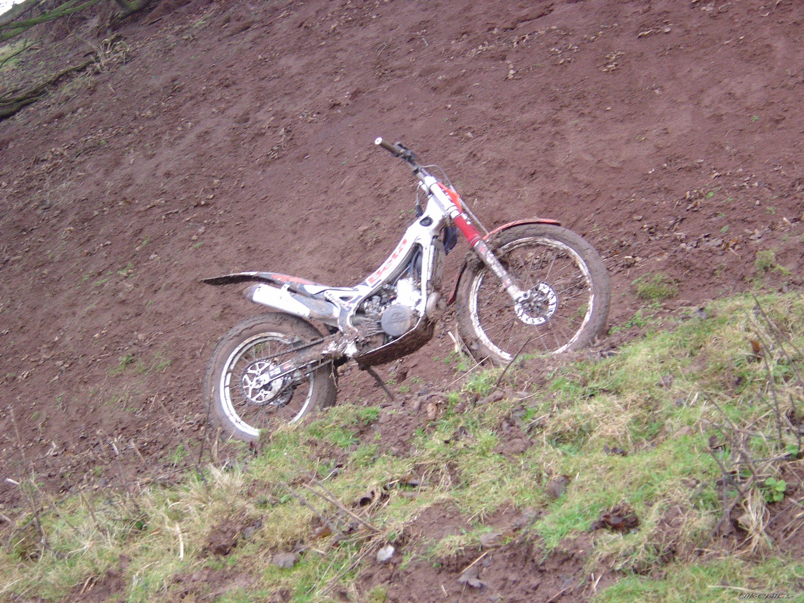 2003 BETA REV3 250 | Picture 1540473 motorcycle photo