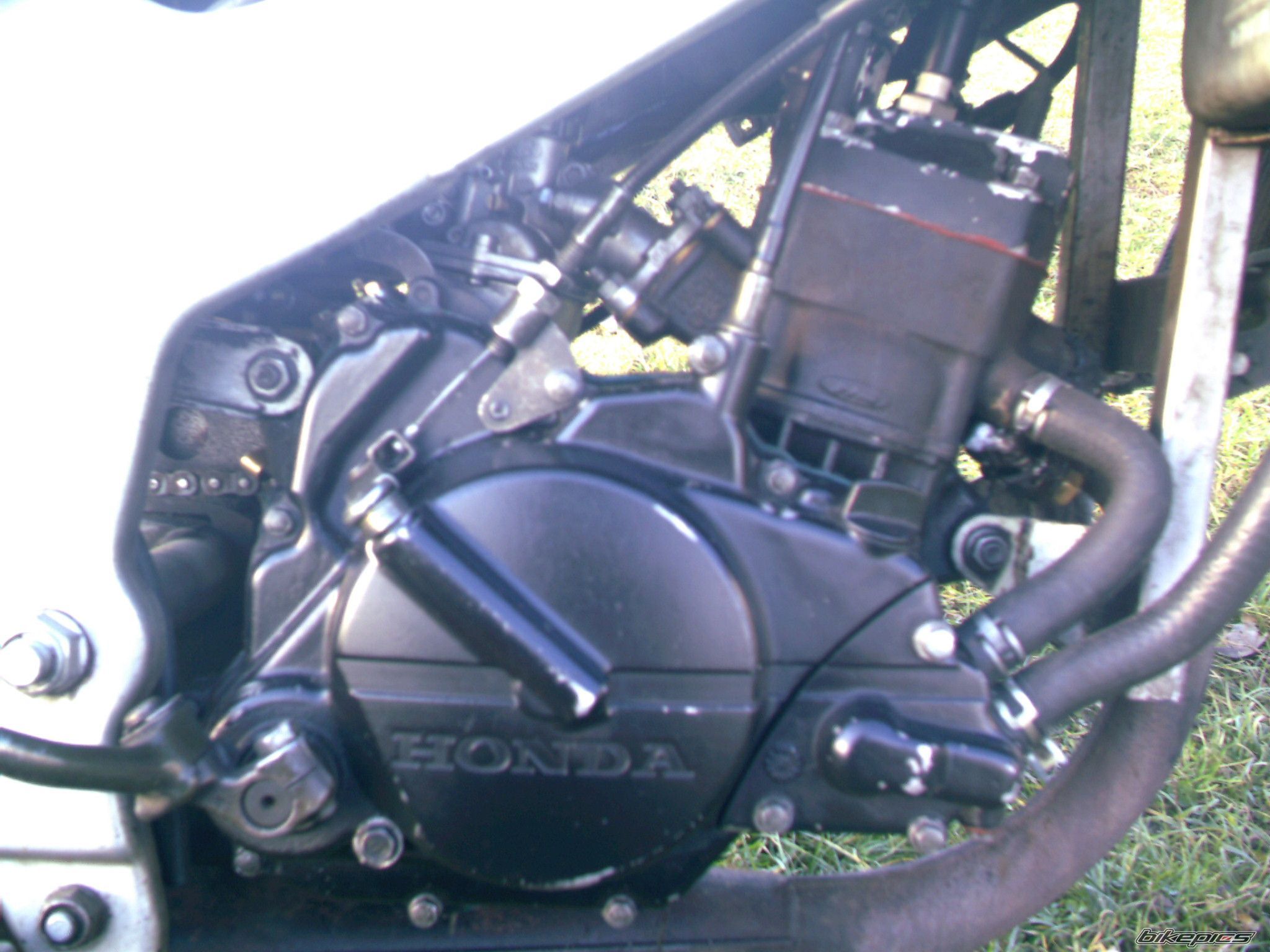    | Picture 1540978 motorcycle photo