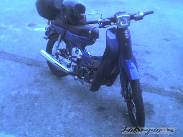 2009 YAMAHA V 50 | Picture 1541625 motorcycle photo