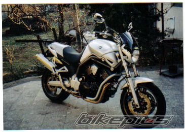 2002 YAMAHA BULLDOG | Picture 1541764 motorcycle photo