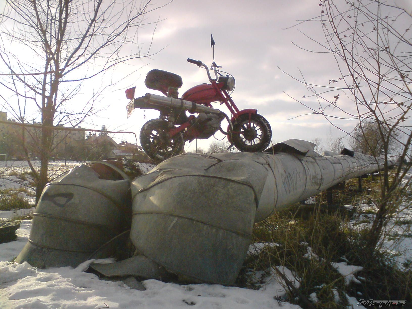 1984 ROMET PONY 50 | Picture 1541920 motorcycle photo
