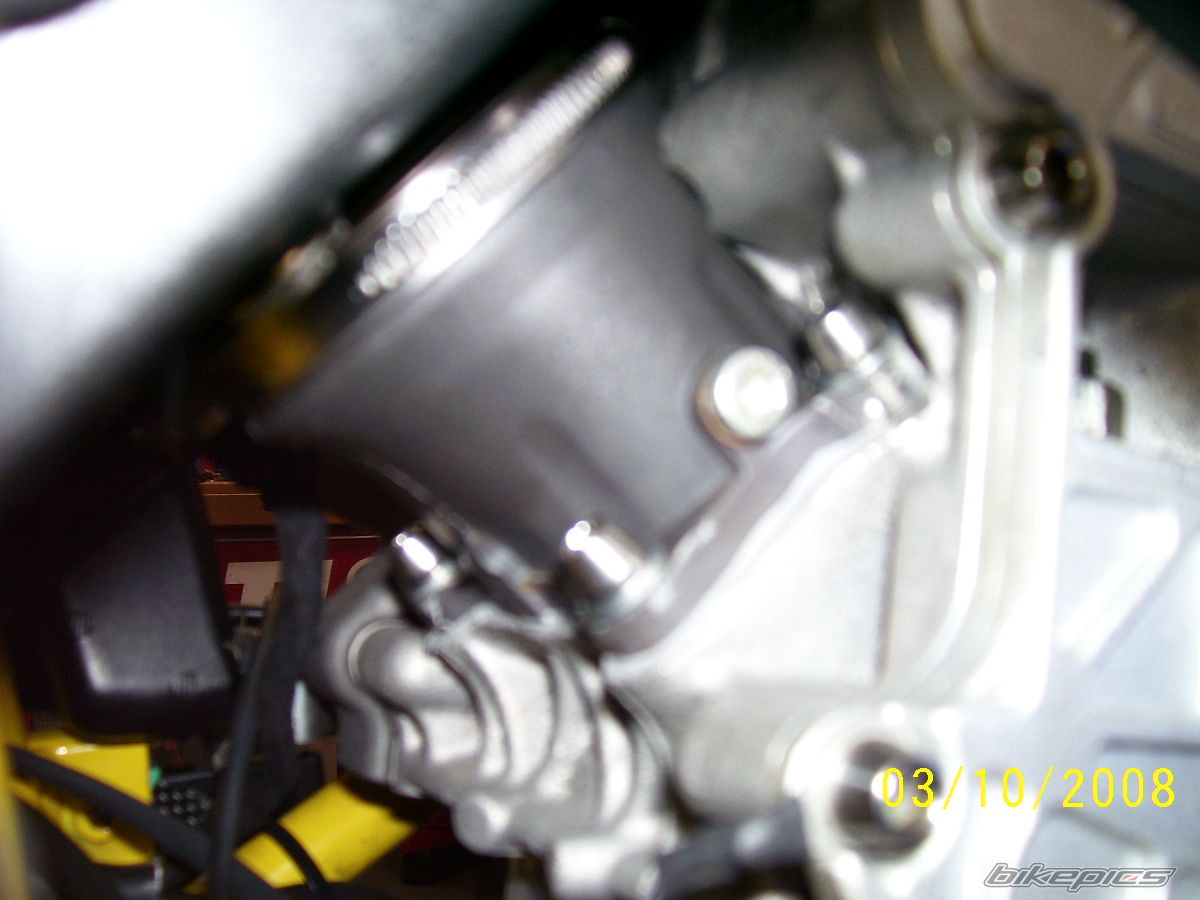 2008 DUCATI CUSTOM | Picture 1542114 motorcycle photo