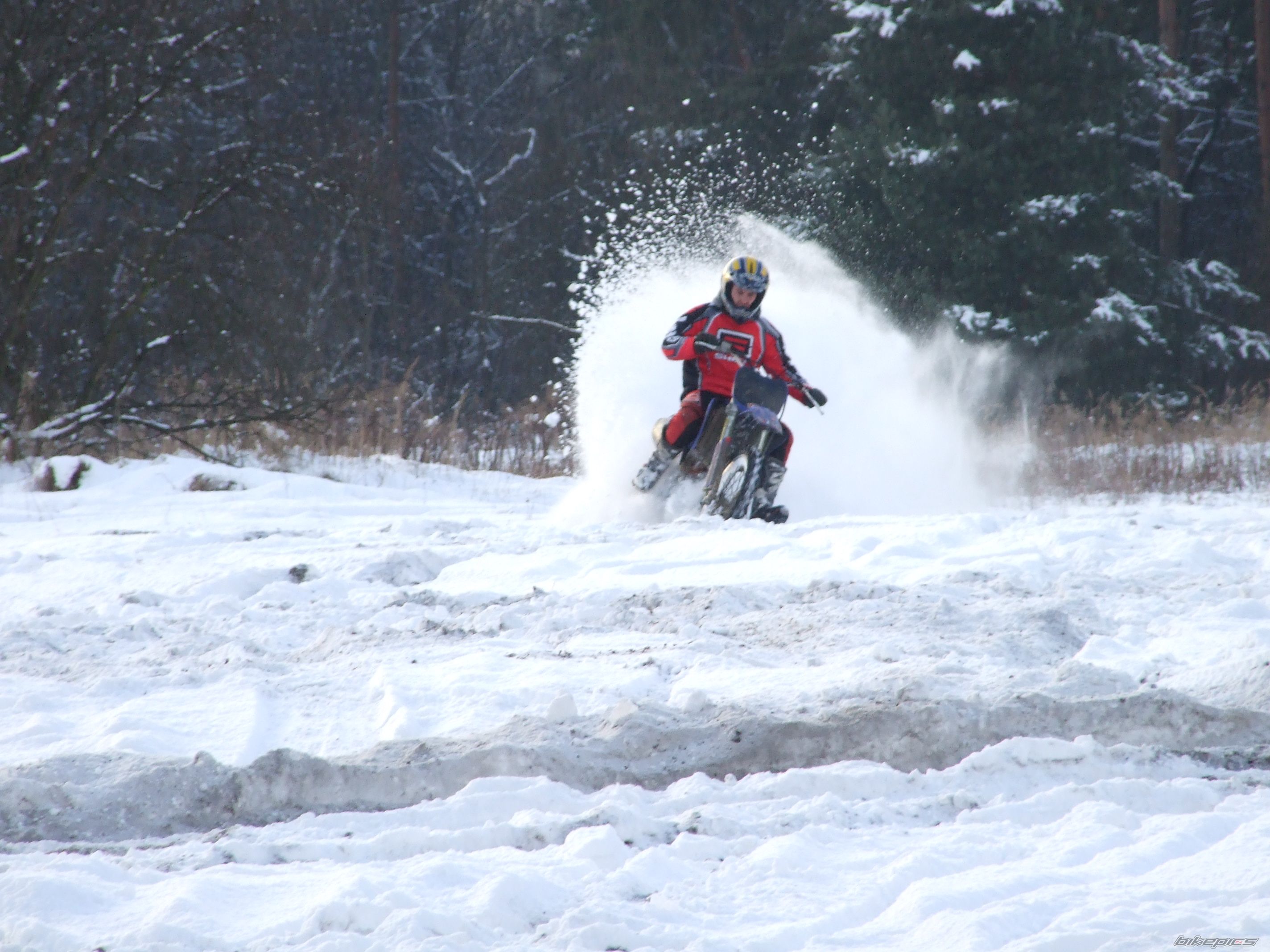 2001 YAMAHA YZ 250F | Picture 1542136 motorcycle photo