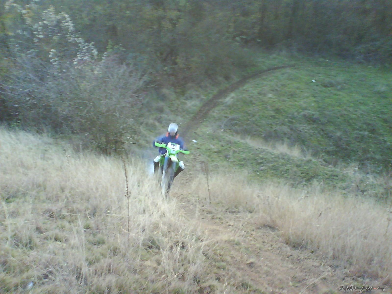 1997 KAWASAKI KDX 250 | Picture 1542299 motorcycle photo