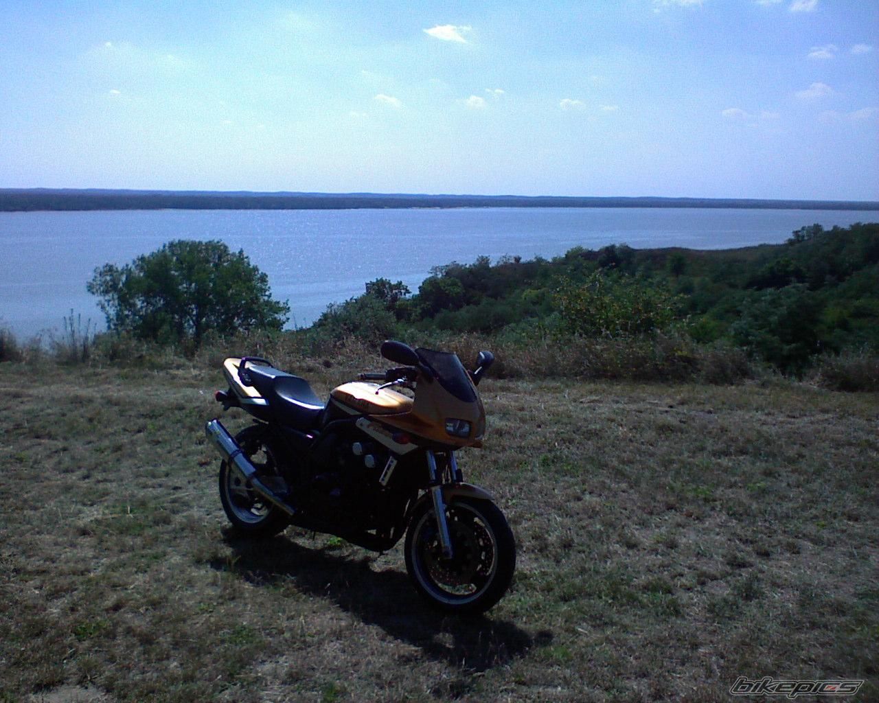 2001 YAMAHA FZS 600 FAZER | Picture 1543002 motorcycle photo