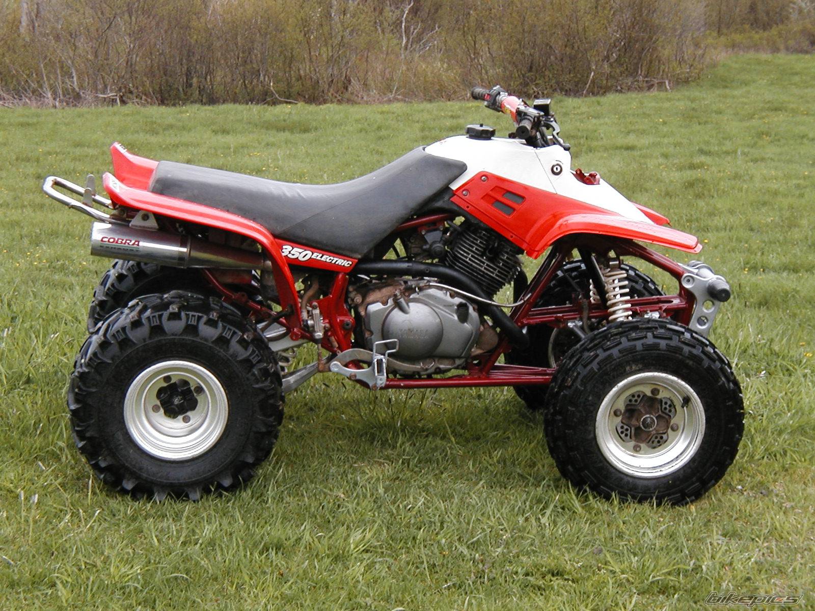 1998 YAMAHA WARRIOR | Picture 154344 motorcycle photo