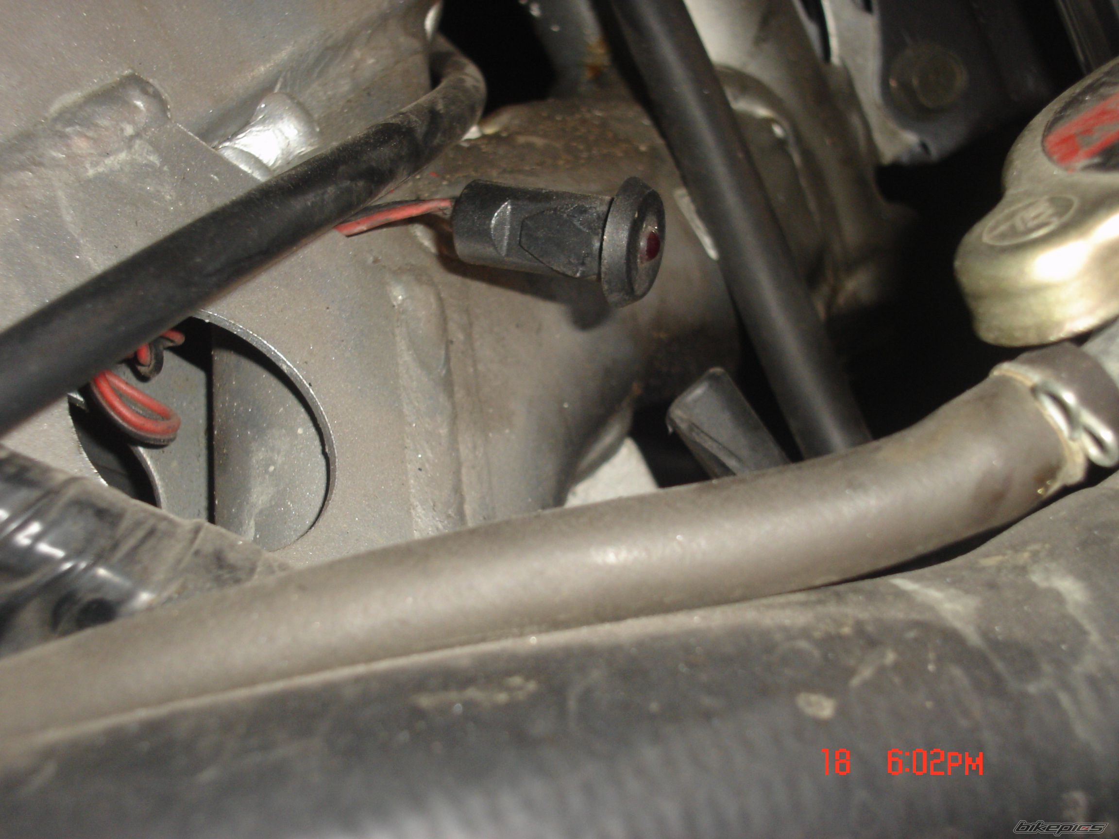 1997 HONDA CBR 600 | Picture 1543515 motorcycle photo