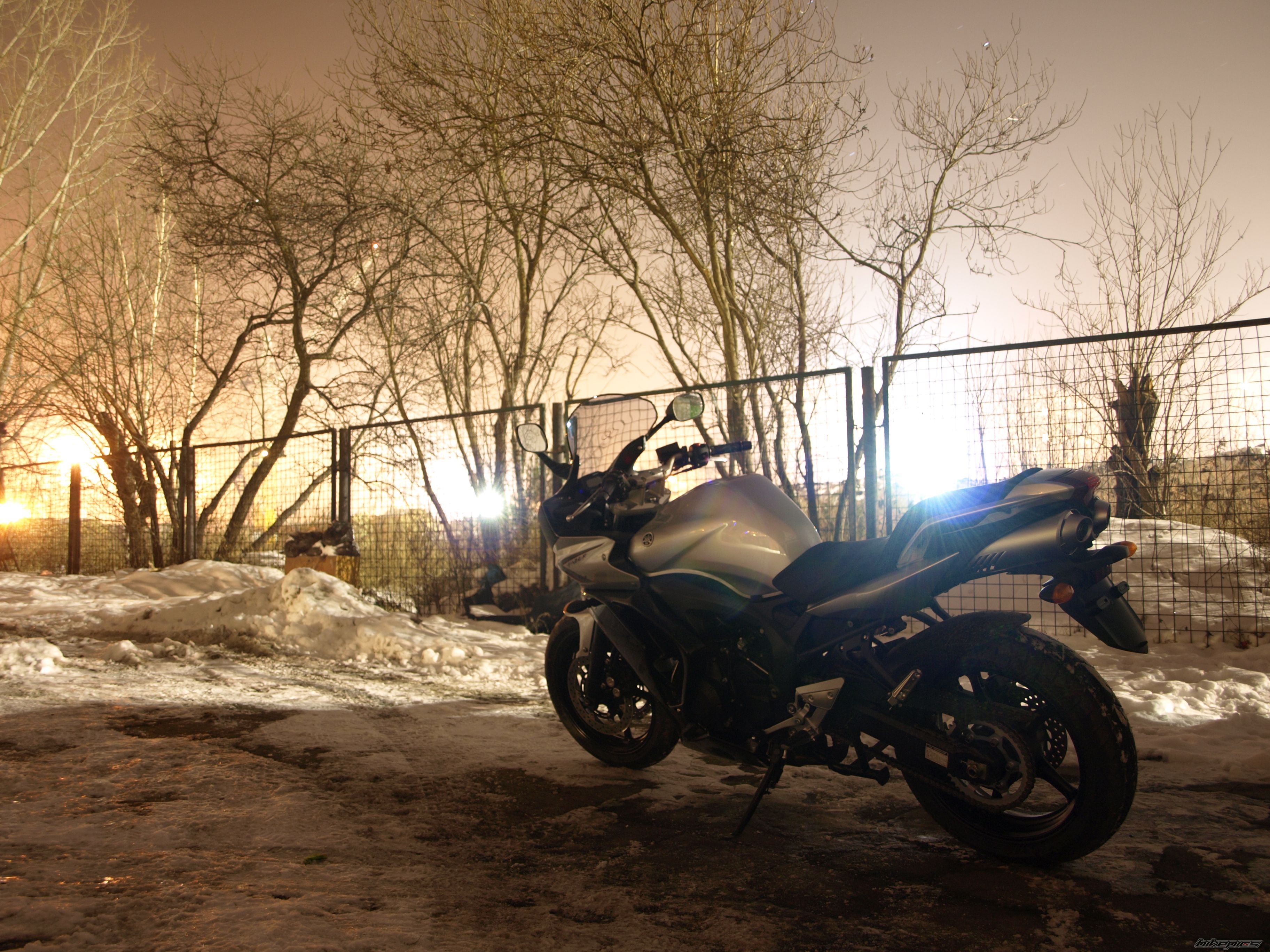 2008 YAMAHA FZ6 FAZER | Picture 1544771 motorcycle photo