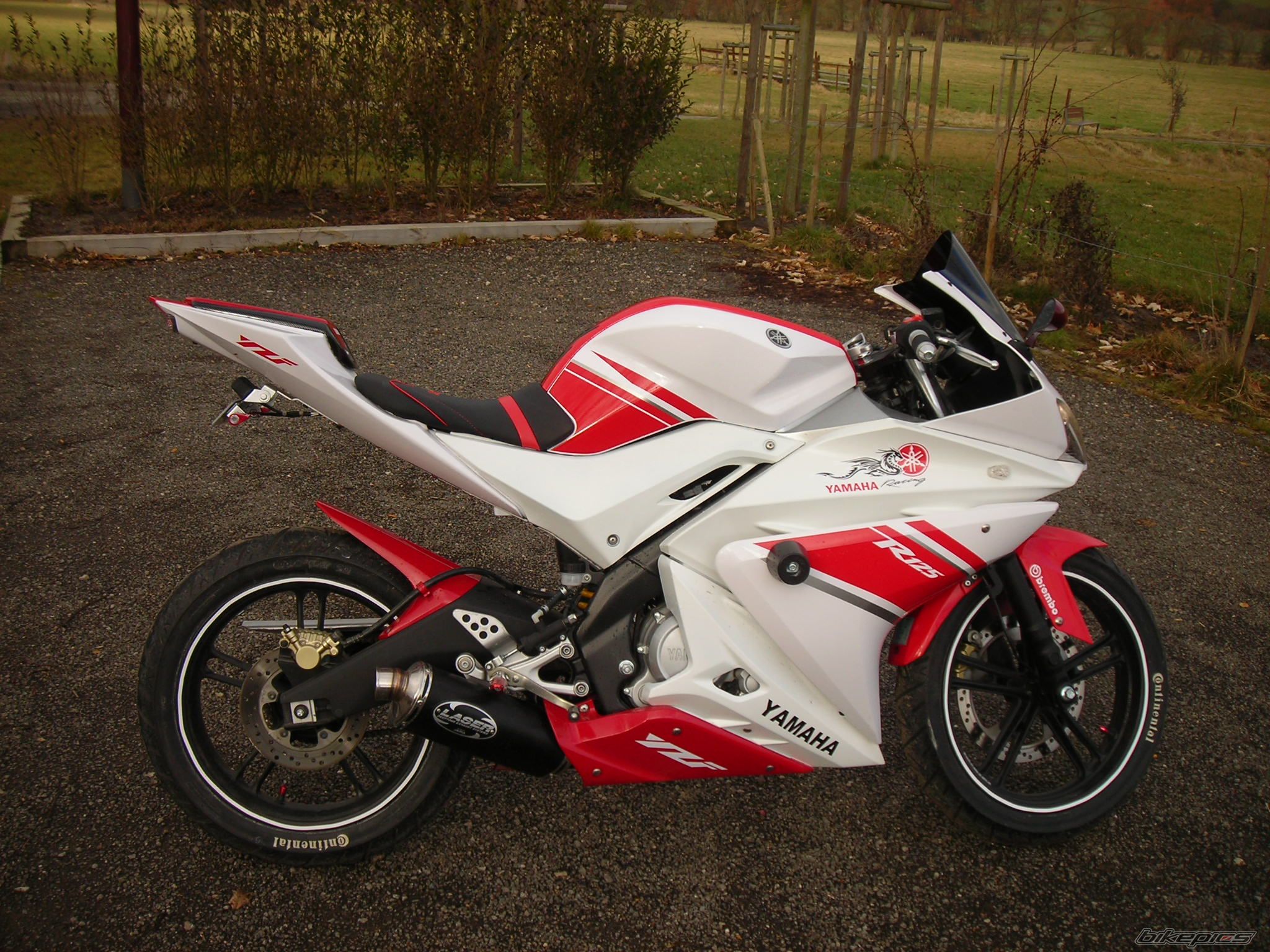 2008 YAMAHA YZF R125 | Picture 1544911 motorcycle photo
