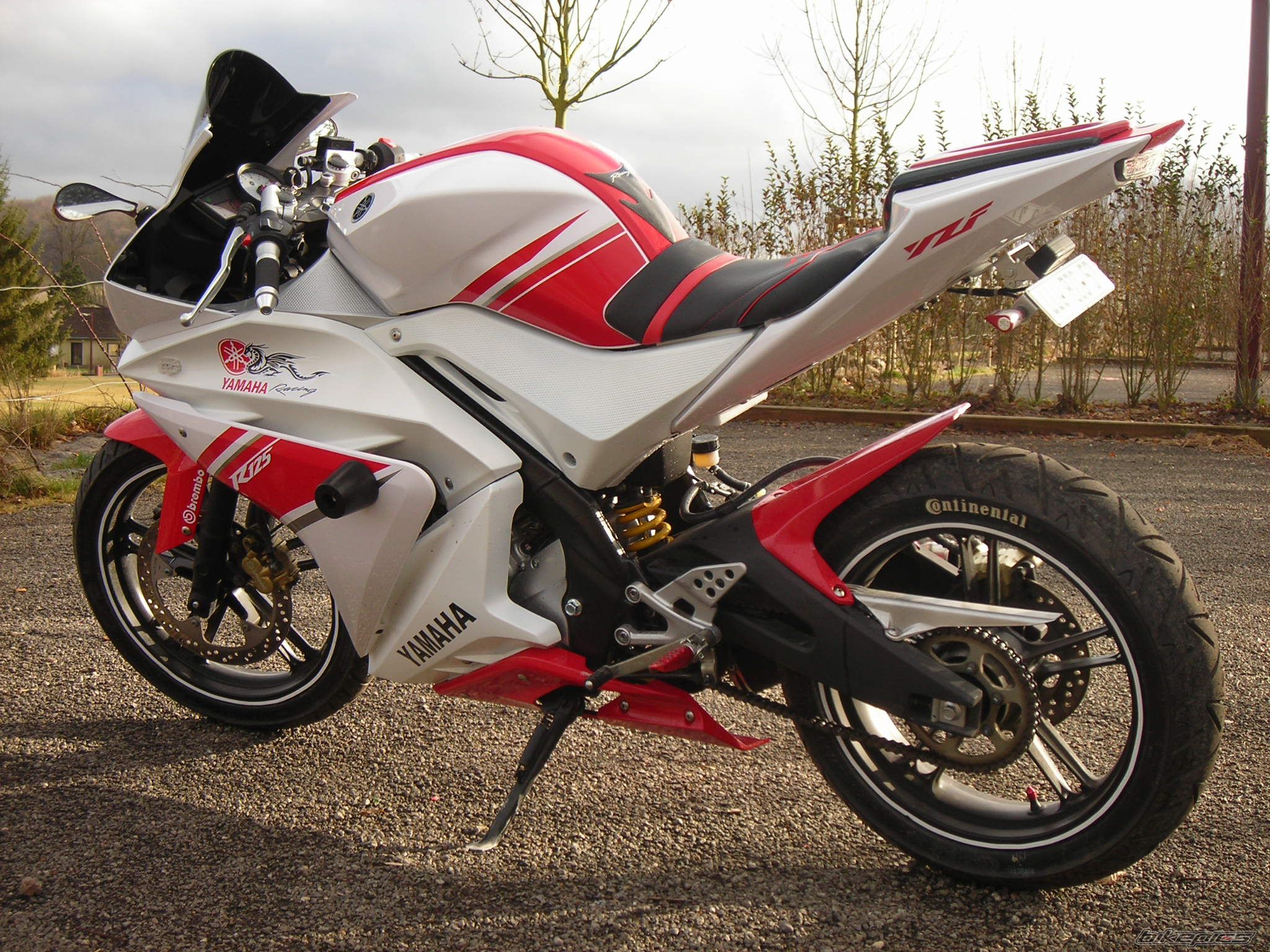 2008 YAMAHA YZF R125 | Picture 1544917 motorcycle photo