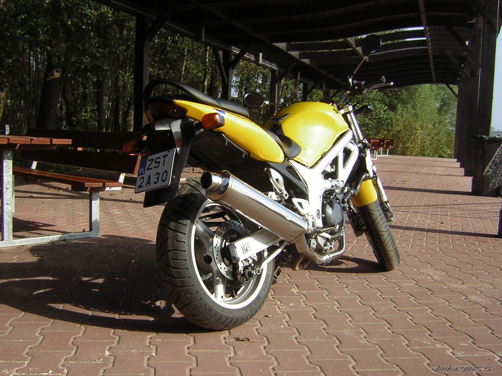 2001 SUZUKI SV 650 | Picture 1544926 motorcycle photo