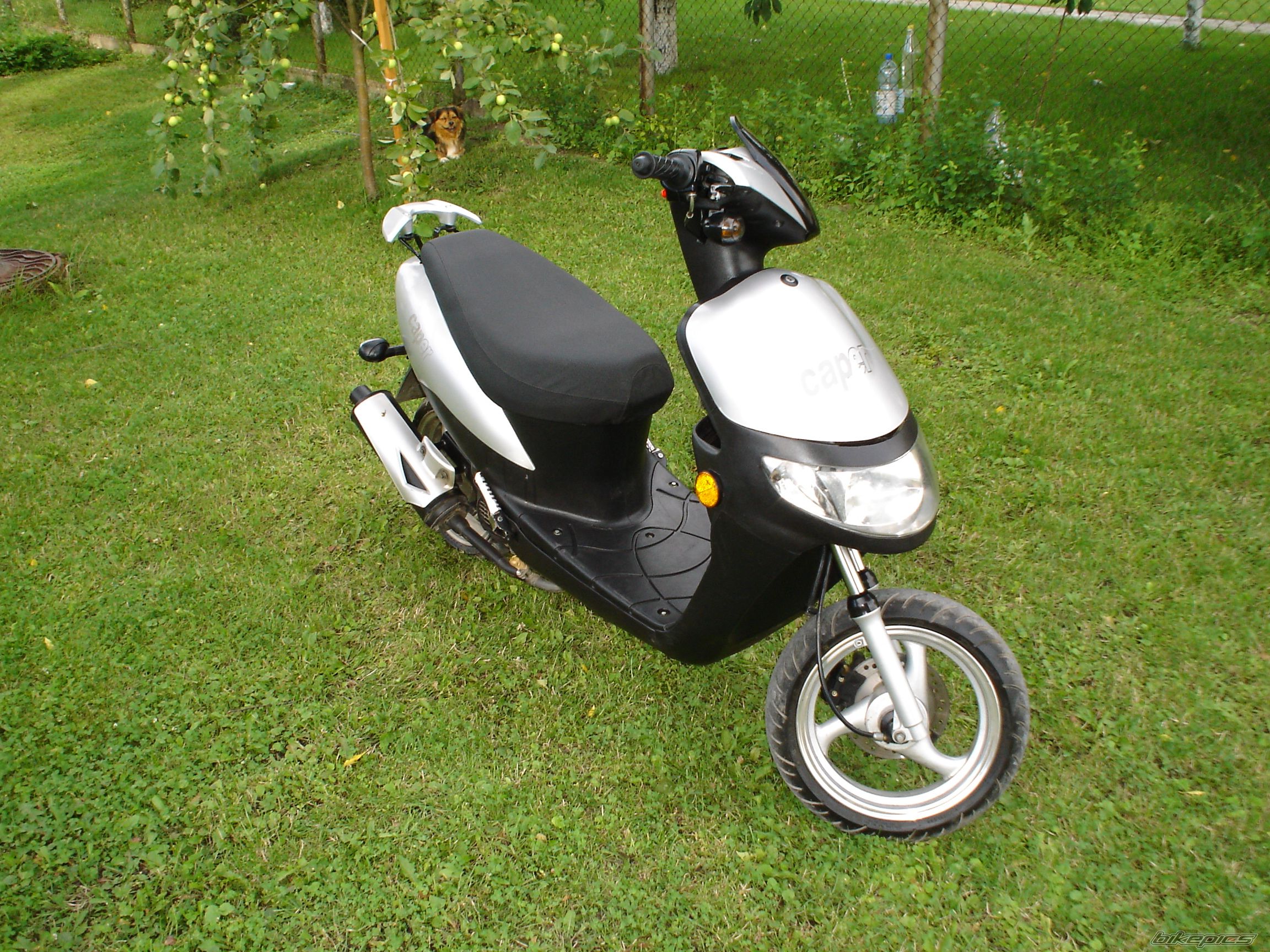 2008 KEEWAY HURRICANE 50 | Picture 1544927 motorcycle photo