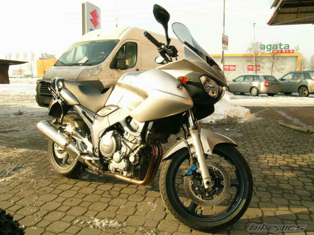 2008 YAMAHA TDM 900 | Picture 1545079 motorcycle photo