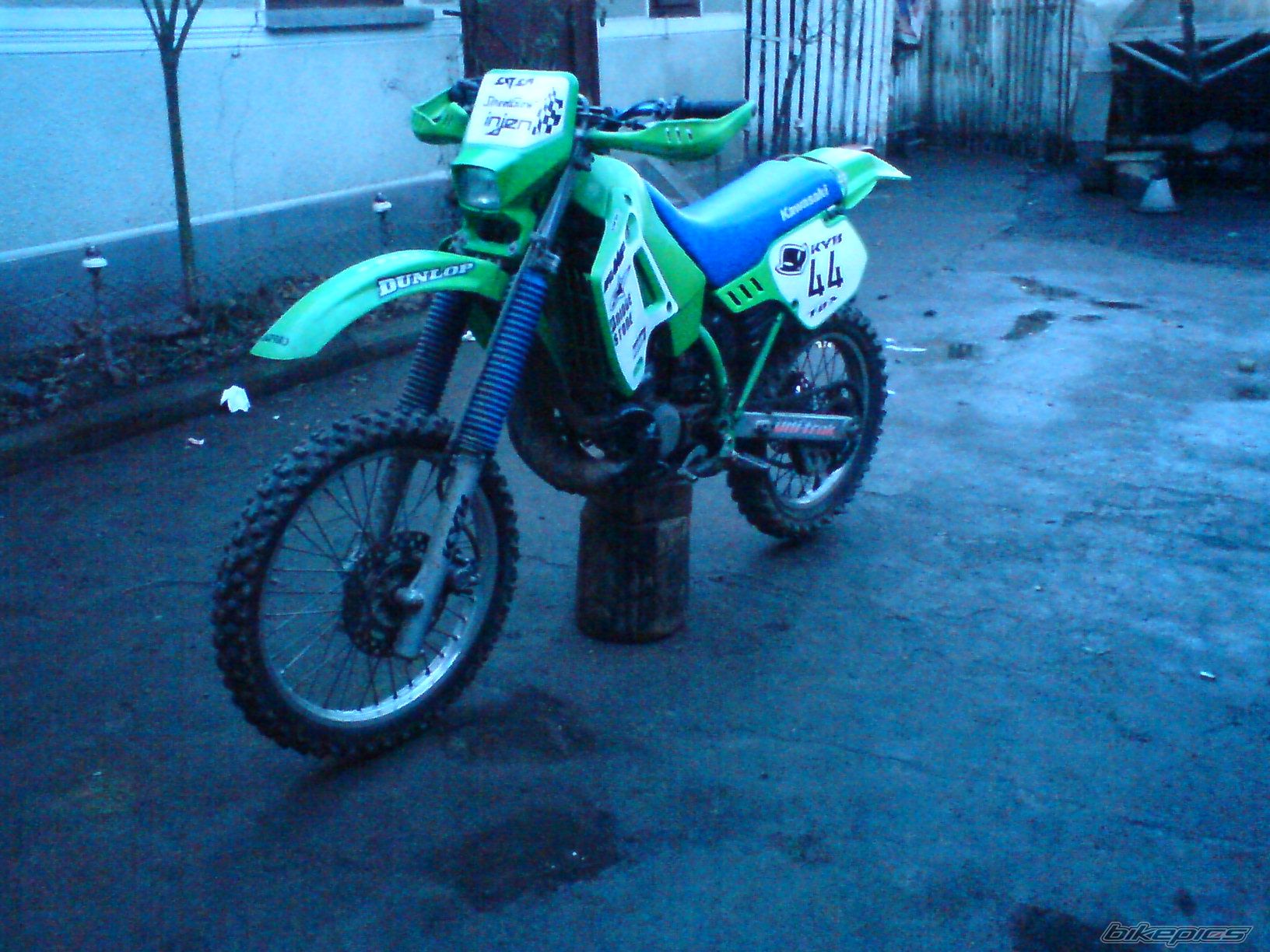 1997 KAWASAKI KDX 250 | Picture 1545181 motorcycle photo