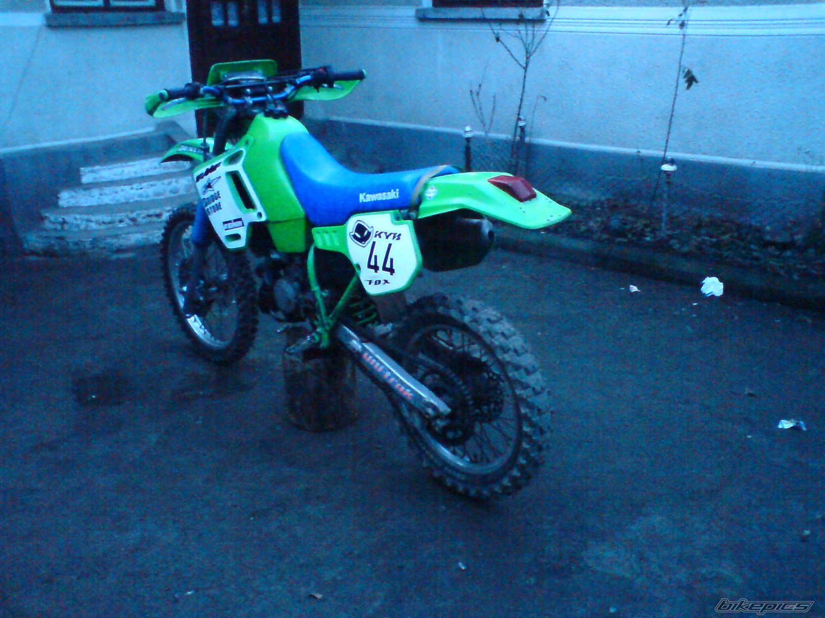 1997 KAWASAKI KDX 250 | Picture 1545182 motorcycle photo